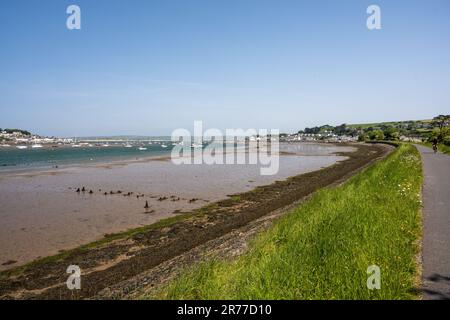 Il sole splende sul villaggio di Instow e sul disusato Bideford Extension Railway, ora una passeggiata qualsiasi pista ciclabile che porta il Tarka Trail e Sud Ovest Foto Stock