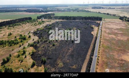 Luckau, Germania. 13th giugno, 2023. Un campo bruciato. Vicino al distretto di Luckau di Duben (distretto di Dahme-Spreewald), un campo di grano ha preso fuoco il martedì. Credit: ---/Baulichtreporter Cottbus/dpa/Alamy Live News Foto Stock