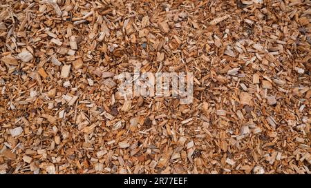 Un mucchio di trucioli di legno è disposto sul terreno in modo disorganizzato, con pezzi di varie dimensioni e forme sparsi dappertutto Foto Stock