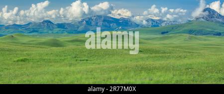 panorama della prateria sotto haystack butte e la montagna del vaporetto vicino ad augusta, montana Foto Stock