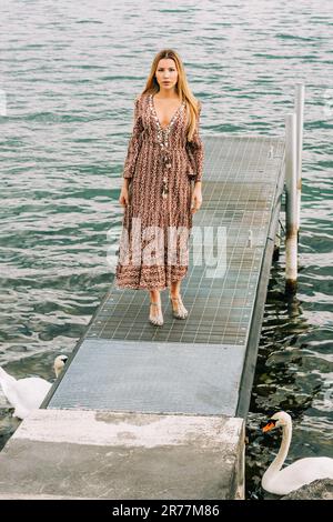 Ritratto all'aperto di giovane donna ammirando il bellissimo lago, indossando un abito marrone. Immagine ripresa sul Lago di Ginevra, Losanna, Svizzera Foto Stock