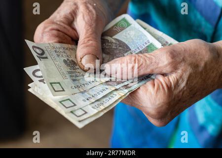 Il pensionato polacco ha diverse banconote di basso taglio nelle sue mani, il costo della vita di un anziano cittadino in Polonia, money Polish zloty, co finanziario Foto Stock