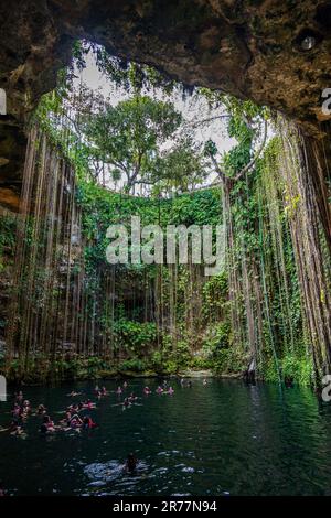 Vista dal Cenote Ik Kil, vicino a Chichen Itza Foto Stock