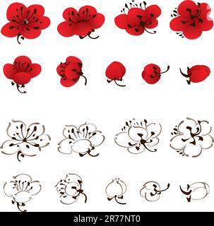 Varietà di diversi fiori di prugna in stile orientale in rosso e bianco (contorno), pittura vettoriale a pennello. Illustrazione Vettoriale