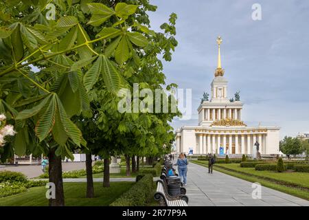 Mosca, Russia - Giugno, 2023, VDNKh è attrazioni turistiche di Mosca. Mostra di realizzazioni di Economia Nazionale, costruzione del Padiglione 1, Centrale V Foto Stock