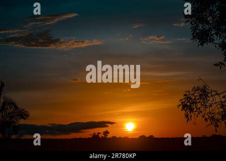 tramonto nella foresta, magnifico tramonto, con cielo blu, arancione e rosso e la silhouette di rami di albero e foglie sul lato Foto Stock
