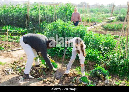 ragazza con pala e i suoi genitori che lavorano in un giardino Foto Stock