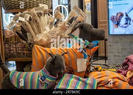 Il Petco in Union Square offre una gamma completa di articoli per animali domestici, New York City, USA 2023 Foto Stock