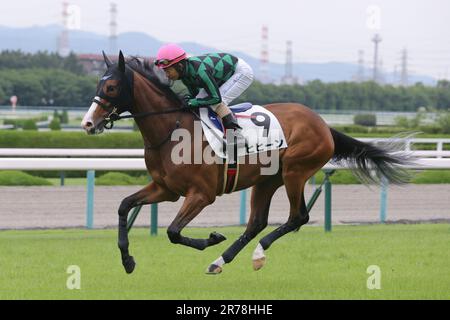 Hyogo, Giappone. 10th giugno, 2023. Hihin guidato da Manabu Sakai Jockey all'ippodromo di Hanshin a Hyogo, Giappone, 10 giugno 2023. 2023/06/10 HANSHIN 05R. Credit: Eiichi Yamane/AFLO/Alamy Live News Foto Stock