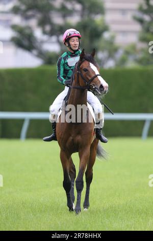 Hyogo, Giappone. 10th giugno, 2023. Hihin guidato da Manabu Sakai Jockey all'ippodromo di Hanshin a Hyogo, Giappone, 10 giugno 2023. 2023/06/10 HANSHIN 05R. Credit: Eiichi Yamane/AFLO/Alamy Live News Foto Stock