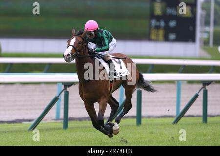 Hyogo, Giappone. 10th giugno, 2023. Hihin guidato da Manabu Sakai Jockey all'ippodromo di Hanshin a Hyogo, Giappone, 10 giugno 2023. 2023/06/10 HANSHIN 05R. Credit: Eiichi Yamane/AFLO/Alamy Live News Foto Stock