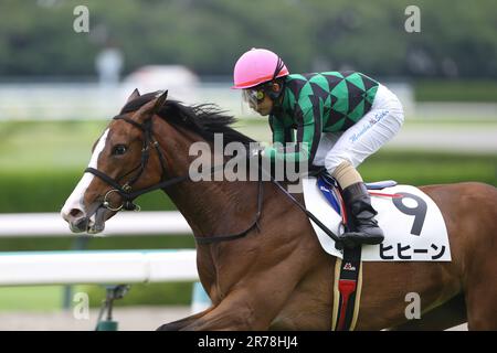 Hyogo, Giappone. 10th giugno, 2023. Hihin guidato da Manabu Sakai Jockey all'ippodromo di Hanshin a Hyogo, Giappone, 10 giugno 2023. 2023/06/10 HANSHIN 05R. Credit: Eiichi Yamane/AFLO/Alamy Live News Foto Stock