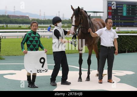 Hyogo, Giappone. 10th giugno, 2023. Hihin guidato da Manabu Sakai Jockey all'ippodromo di Hanshin a Hyogo, Giappone, 10 giugno 2023. 2023/06/10 HANSHIN 05R. Credit: Eiichi Yamane/AFLO/Alamy Live News Foto Stock