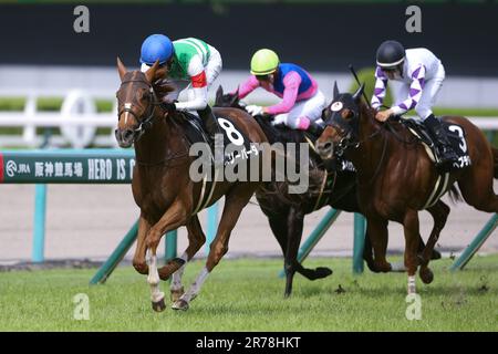 Hyogo, Giappone. 10th giugno, 2023. Sri Pada guidato da Ryusei Sakai Jockey all'ippodromo di Hanshin a Hyogo, Giappone, 10 giugno 2023. 2023/06/10 HANSHIN 11R MINAZUKI STAKES Credit: Eiichi Yamane/AFLO/Alamy Live News Foto Stock