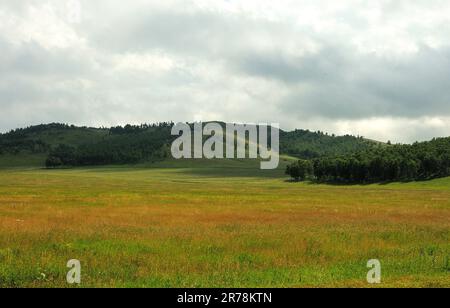 Una vasta radura con erba alta ingiallita ai margini di una fitta foresta ai piedi di un'alta montagna sotto un cielo nuvoloso estivo. Khakassia, Siberia, R. Foto Stock