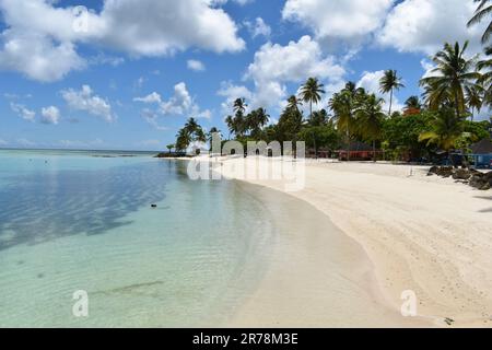 Pigeon Point Beach presso il Pigeon Point Heritage Park di Tobago, nelle Indie Occidentali. Foto Stock