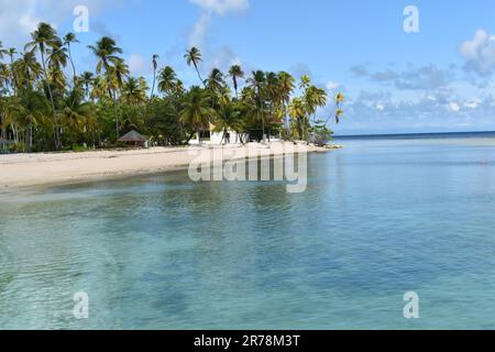 Pigeon Point Beach presso il Pigeon Point Heritage Park di Tobago, nelle Indie Occidentali. Foto Stock