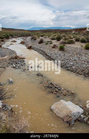 I petroglifi nativi americani possono essere trovati in questa parte delle tavolette vulcaniche nella contea di Mono, CA, USA. Foto Stock