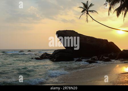 Dalawella Beach bellissimo tramonto romantico. Enorme roccia, palme in primo piano. Copia spazio per il testo Foto Stock