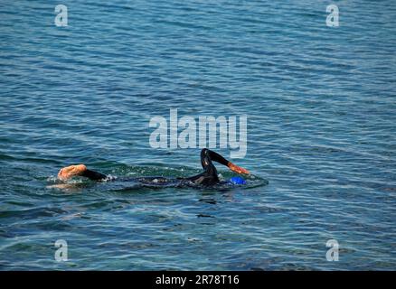 Nuotatore di maratona maschile in azione durante l'allenamento Foto Stock
