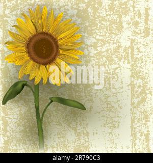 Grunge floral illustrazione con girasole sul beige Illustrazione Vettoriale