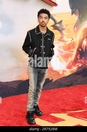 HOLLYWOOD, CALIFORNIA - GIUGNO 12: Miles Brown partecipa alla prima di Los Angeles di Warner Bros. 'The Flash' a Ovation Hollywood il 12 giugno 2023 a Hol Foto Stock