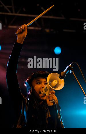 V Brown, V2009, Hylands Park, Chelmsford, Essex, Regno Unito - 22 agosto 2009 Foto Stock