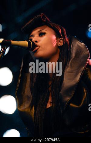 V Brown, V2009, Hylands Park, Chelmsford, Essex, Regno Unito - 22 agosto 2009 Foto Stock