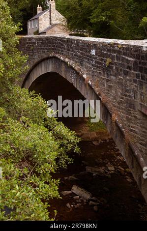 Il ponte sul fiume Allen, Allendale, Northumberland Foto Stock