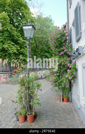 Lampada da strada e fiori a Friburgo in Breisgau Foto Stock