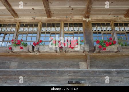 Storica casa in legno nella Foresta Nera con fiori rossi nelle finestre Foto Stock