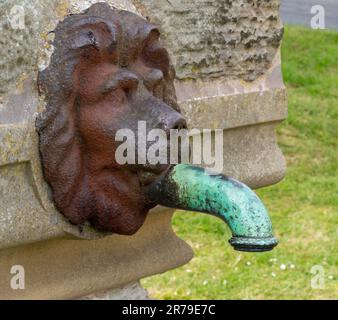 I Lions dirigono il beccuccio dell'acqua su una storica fontana a Bamburgh Village, Northumberland, Regno Unito Foto Stock