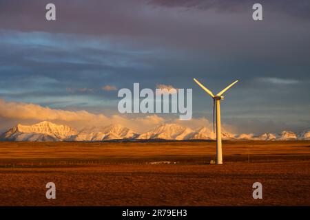 Questa splendida immagine cattura la bellezza delle praterie nell'Alberta meridionale, Canada Foto Stock