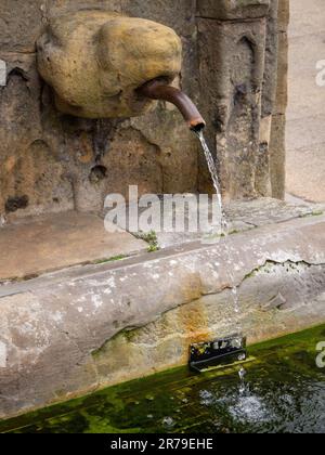 Fontana nella città mercato di Alnwick, Northumberland, Regno Unito in stile rinascimentale italiano dotato da Adam Robertson. Foto Stock