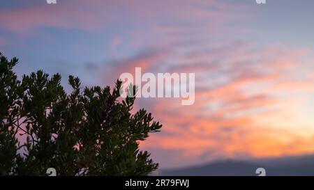 Uno splendido paesaggio al tramonto con alberi in primo piano e un vibrante cielo arancione sullo sfondo Foto Stock