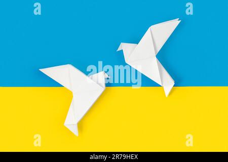 Due colombe bianche di carta origami sui colori della bandiera dell'Ucraina. Il concetto di pace tra due stati. Simbolo di pace su sfondo blu e giallo. Poll Foto Stock
