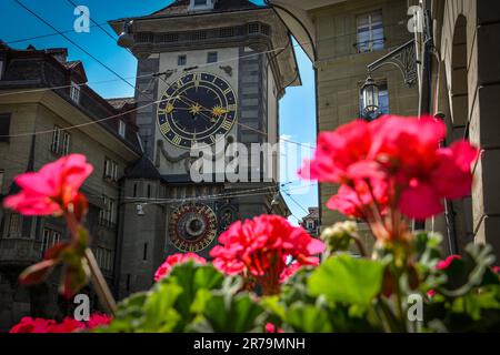 Berna Zytglogge su un letto di fiori Foto Stock