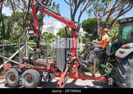 I chirurghi degli alberi rimuovono gli alberi tagliati e abbattuti usando un trattore e un braccio di presa che mette i tronchi su un rimorchio, Algarve, Portogallo Foto Stock