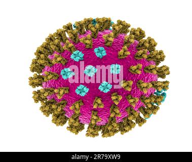 Virus influenzale, Michigan ceppo. 3D illustrazione che mostra la glicoproteina di superficie emoagglutinina dei picchi di verde e blu di neuraminidasi Foto Stock