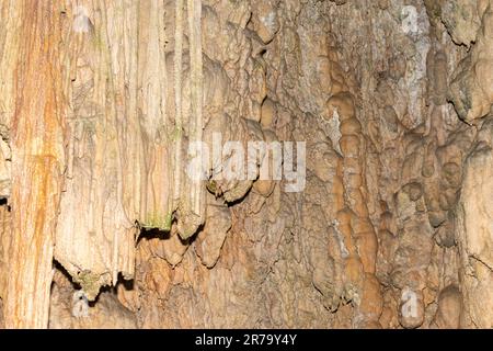 Baar, Svizzera, 29 aprile 2023 incredibile e affascinante formazione rocciosa all'interno della grotta Hoellengrotten Foto Stock