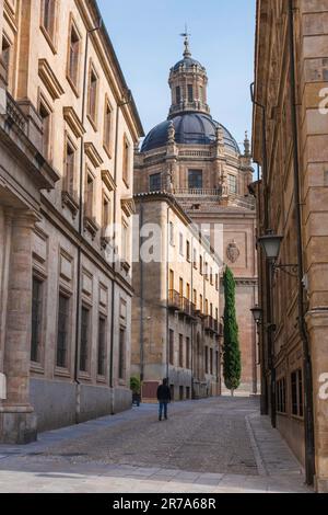 Università di Salamanca, vista della Calle Libreros nello storico quartiere universitario di Salamanca, Spagna centrale. Foto Stock