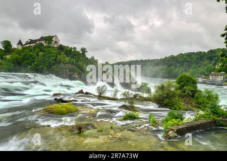 Vista delle cascate del Reno (Rheinfalls), la cascata più grande d'Europa Foto Stock
