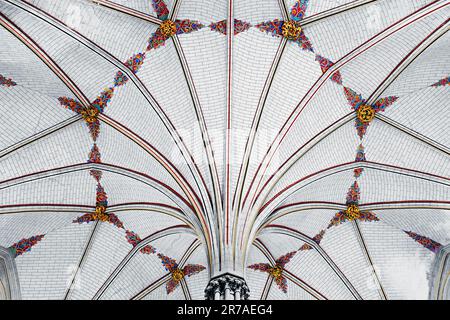 La volta del ventilatore nella casa di capitolo alla cattedrale di Salisbury, Wiltshire, Inghilterra, Regno Unito Foto Stock