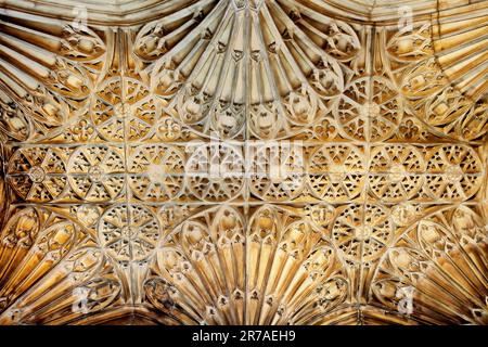 Soffitto, Cattedrale di Gloucester, Gloucester, England, Regno Unito Foto Stock