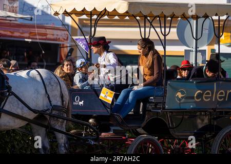 Europa, Portogallo, Regione di Alentejo, Fiera del Cavallo di Golega, carrozza trainata da cavalli che porta i turisti oltre il Largo do Marques de Pombal (Piazza) Foto Stock