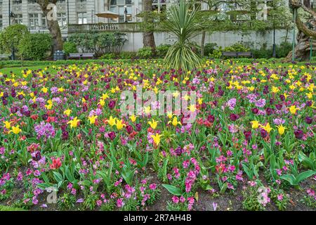 Aiuole di fiori durante la primavera a Whitehall Gardens, Londra, Inghilterra. Foto Stock