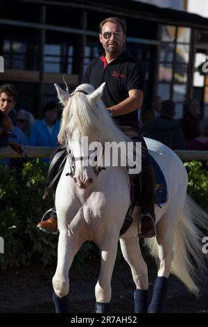 Europa, Portogallo, Regione di Alentejo, Golega, uomo che cavalca il bel cavallo bianco Lusitano alla Fiera del Cavallo di Golega Foto Stock