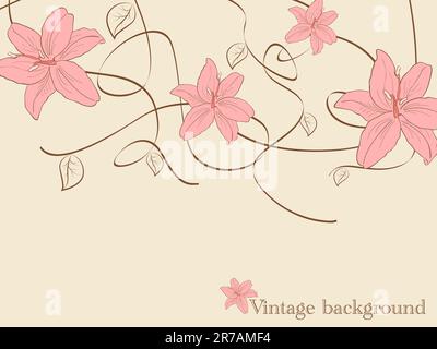 Vector pictures with  lilia flowers Stock Vector