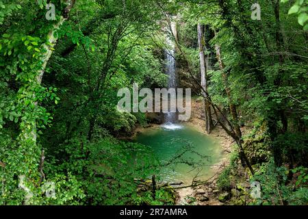 Bella e pittoresca cascata Butori circondata da vegetazione lussureggiante con piccolo lago turchese in fondo all'abisso, Motovun, Croazia Foto Stock