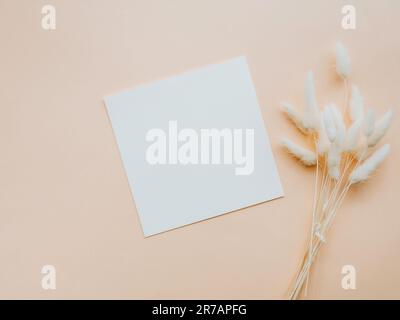 Bianco carta bianca carta quadrata mockup scheda e ramo floreale secco su sfondo beige. Modello estetico minimale. Piano di giacitura, vista dall'alto Foto Stock